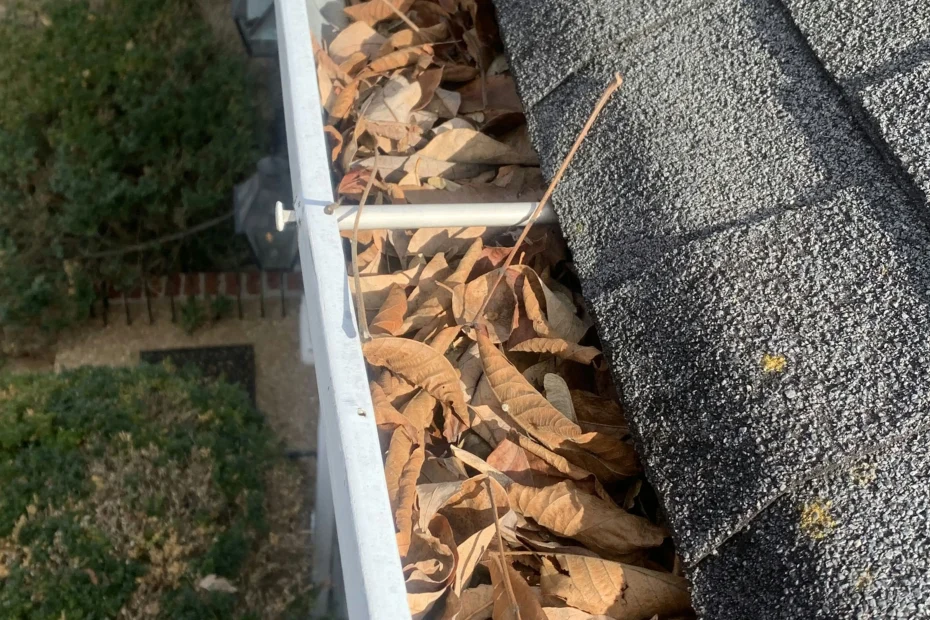 Gutter Cleaning Emmaus